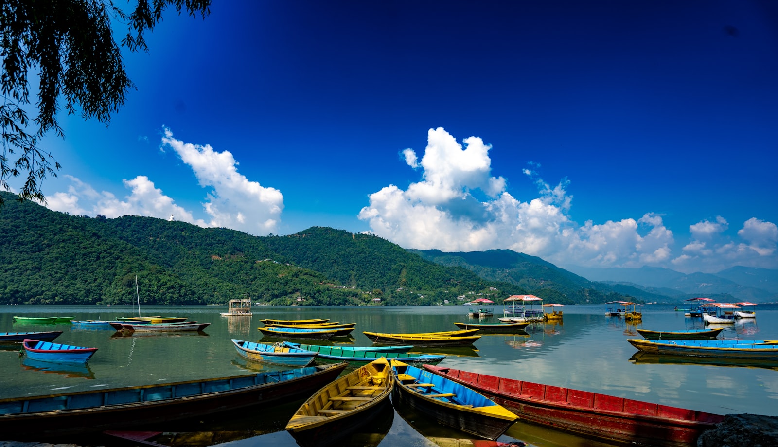 Paragliders at Phewa Lake
