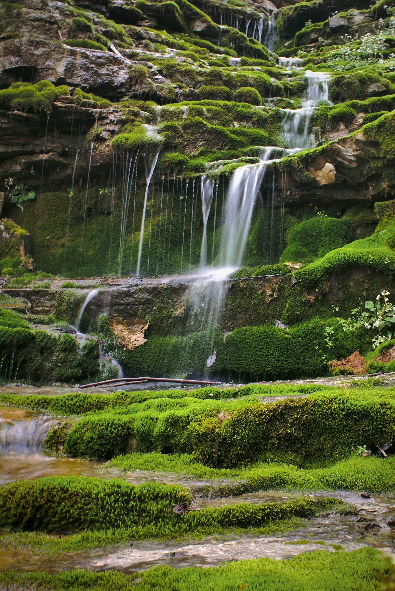 Himalayan mountain trekking trail